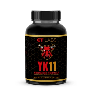 YK11