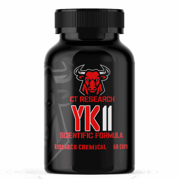 YK11