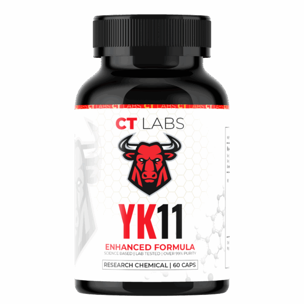 YK11